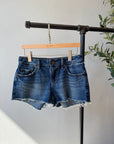 Levi’s LOW Shorts