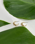 Small Hoops