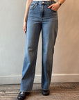 Silver HIGHLY DESIRABLE Jeans
