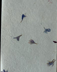 Botanical Notecards
