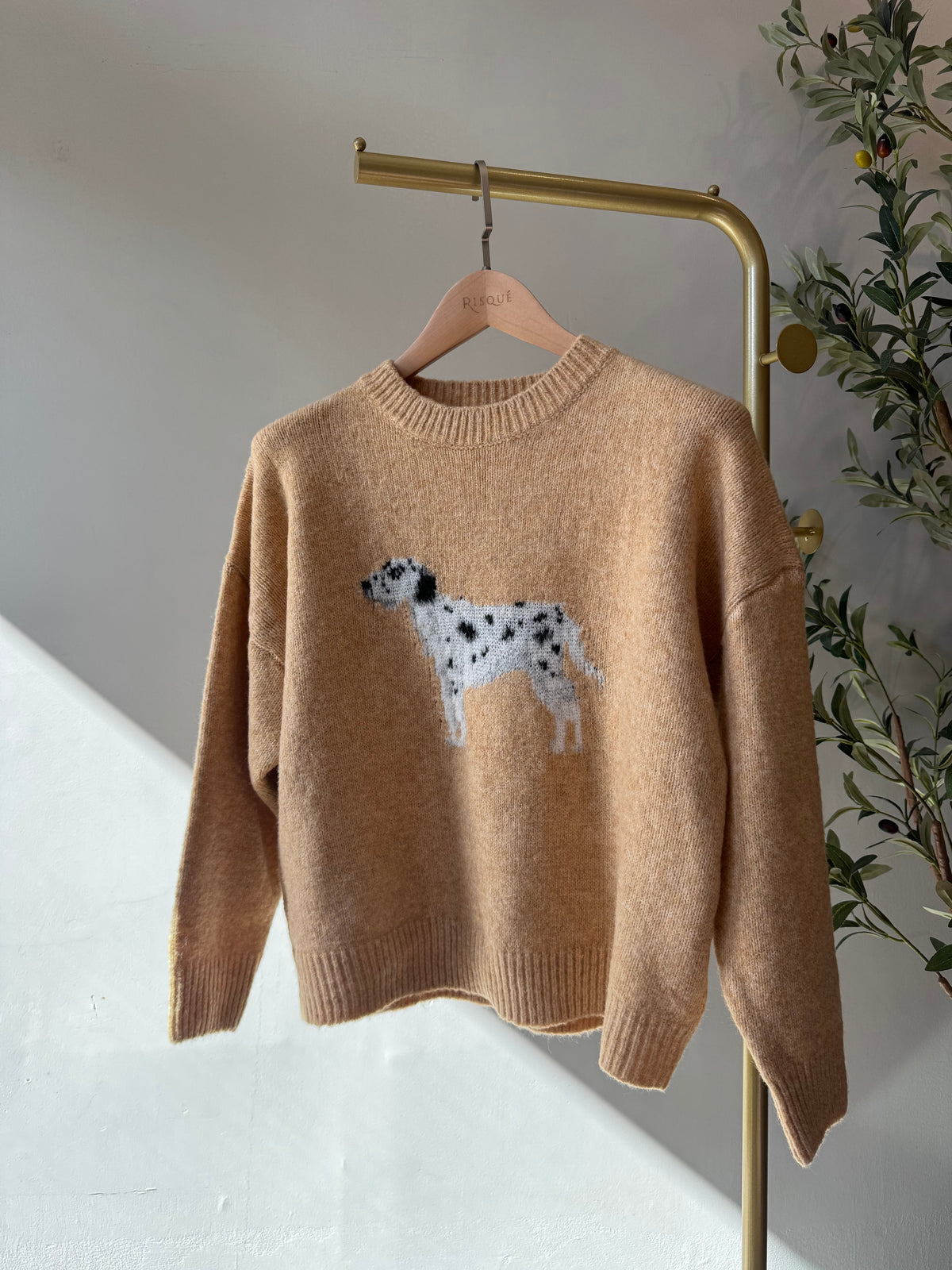 DALMATIAN Sweater