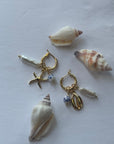 SEALIFE Earrings