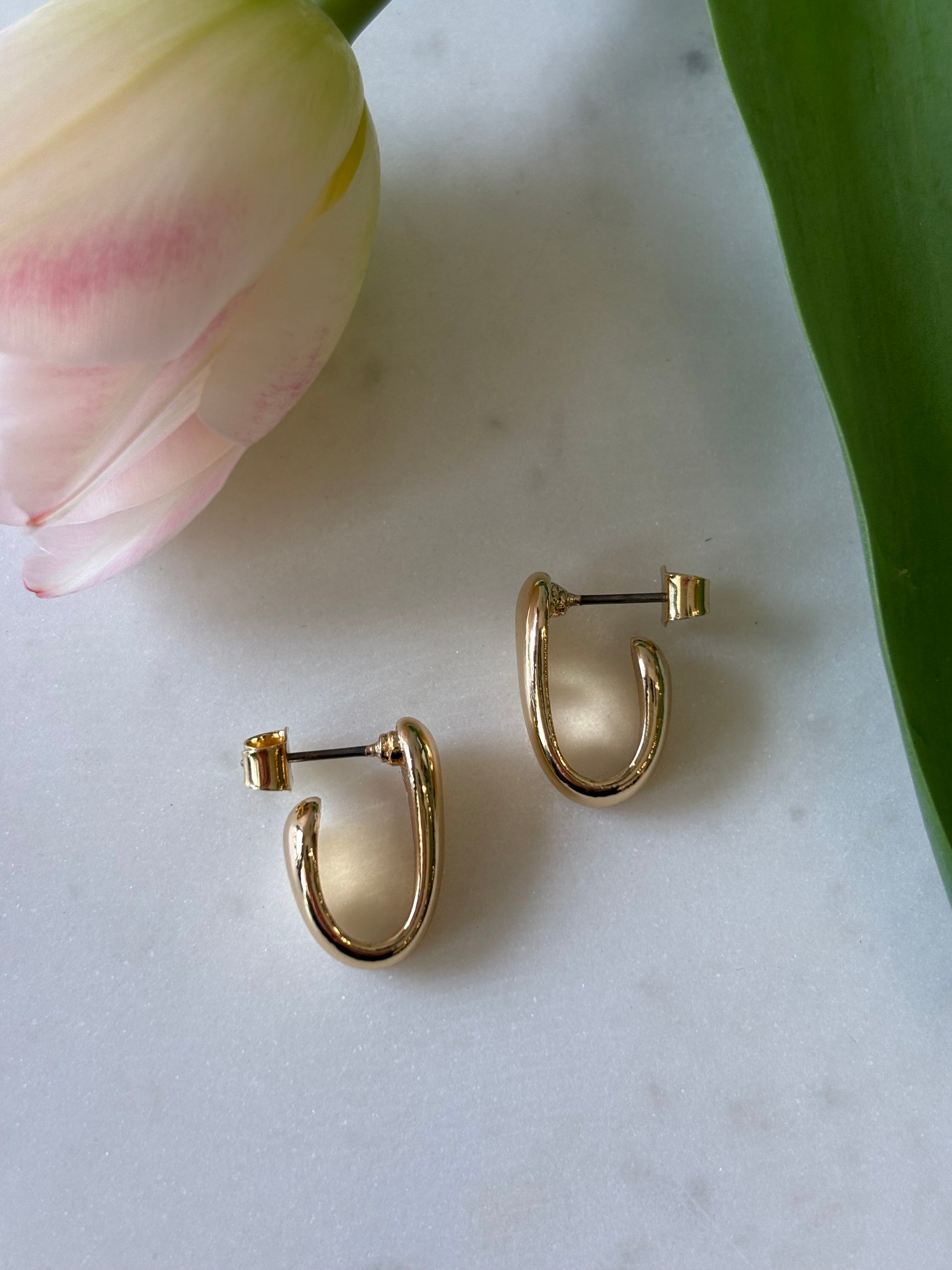 Hoop Earrings