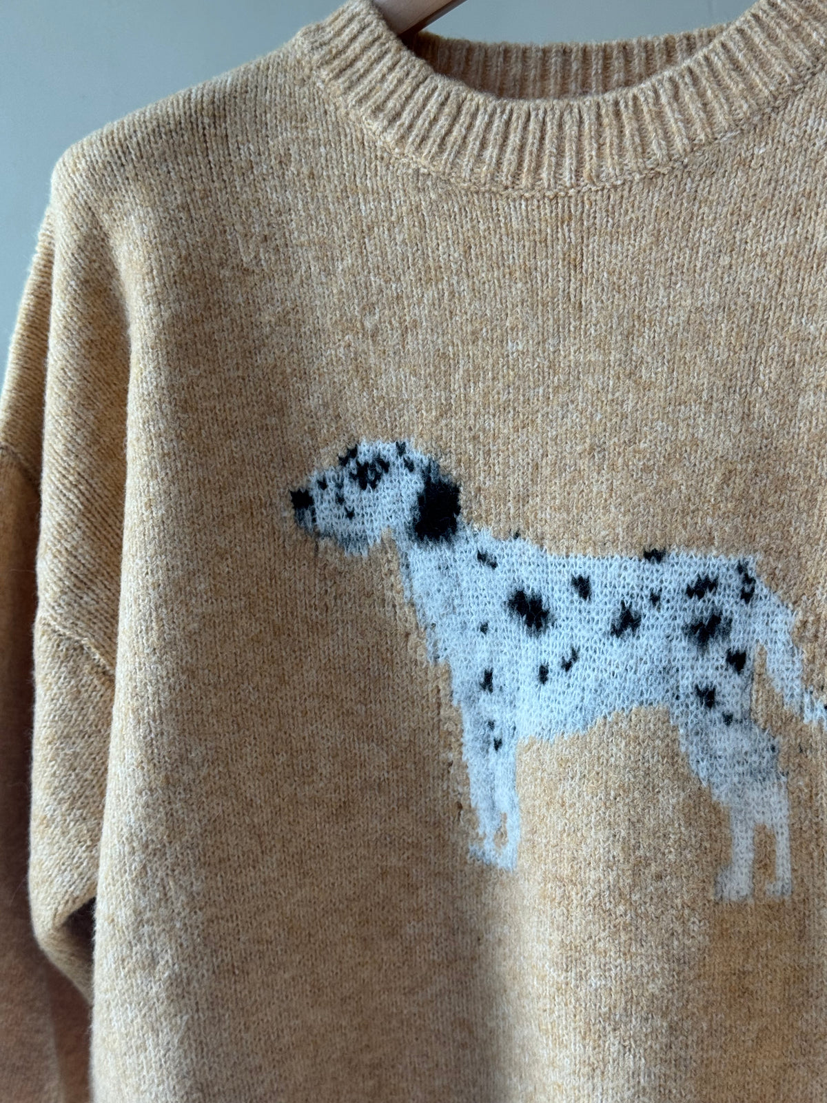 DALMATIAN Sweater