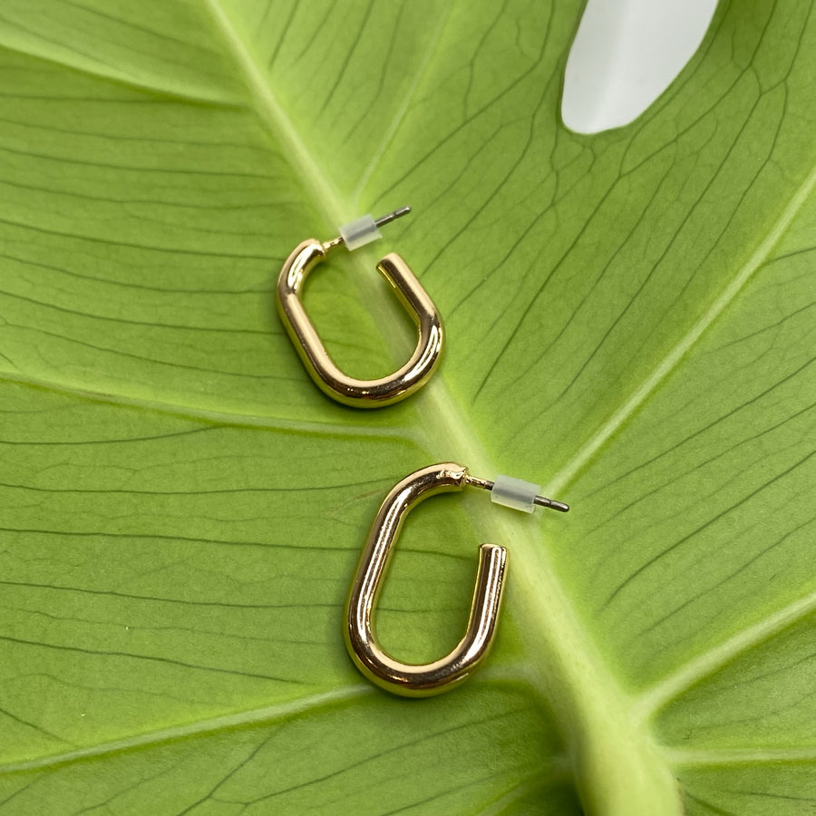 Oval Hoops
