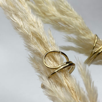 Abstract Ring