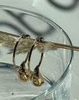 Teardrop Earrings