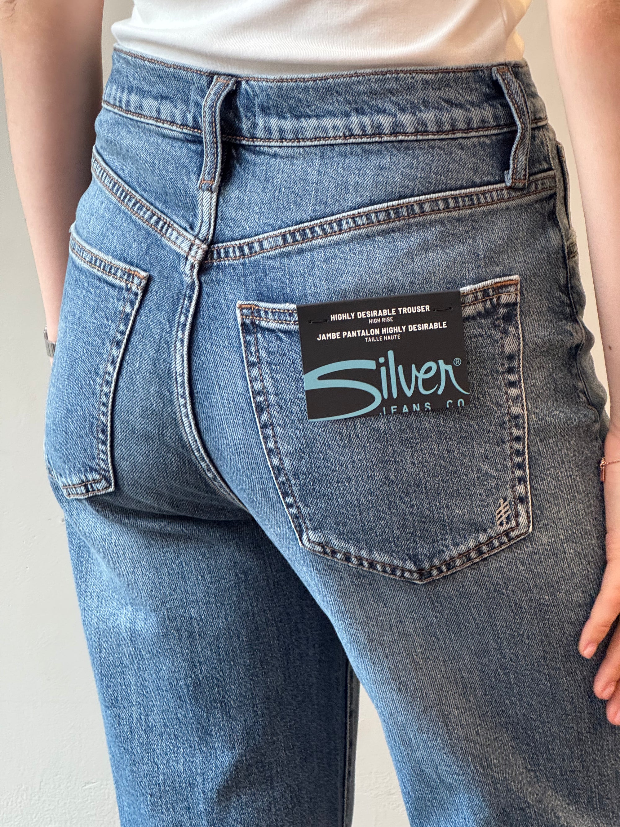 Silver HIGHLY DESIRABLE Jeans