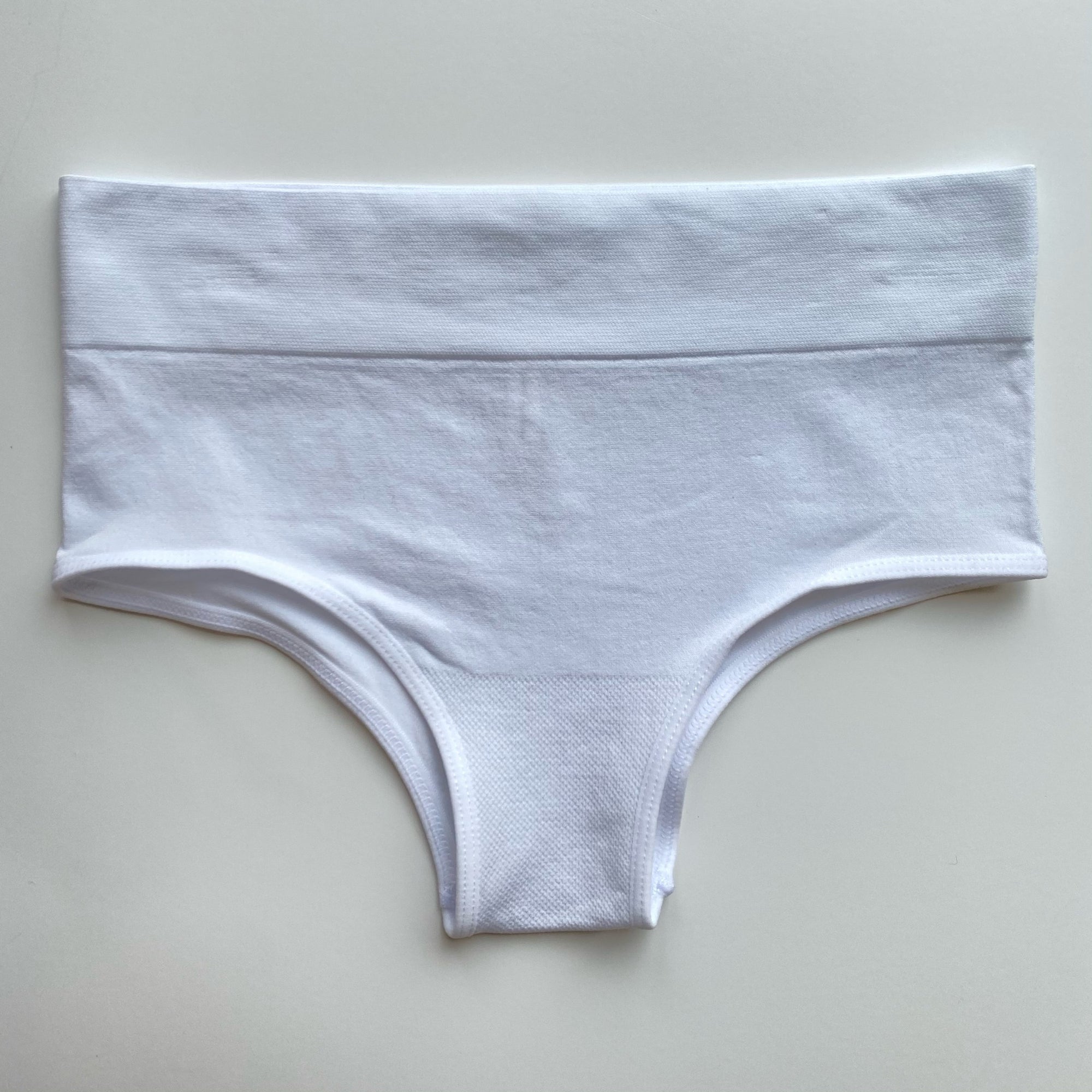 Seamless Full Back Panty