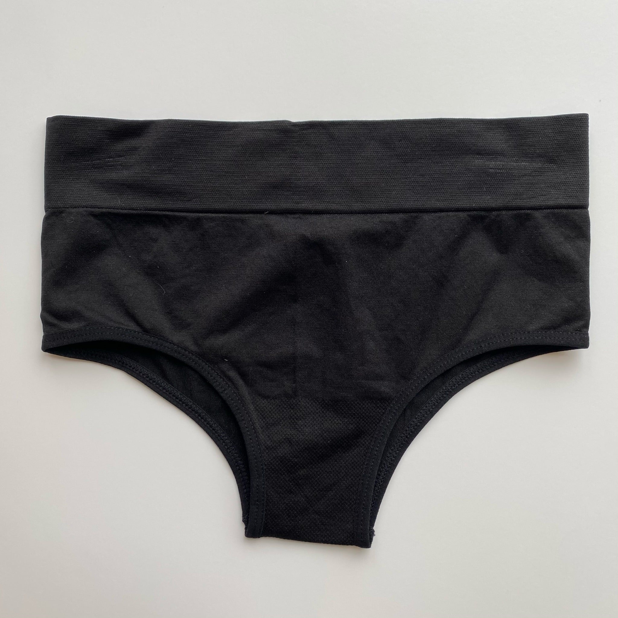 Seamless Full Back Panty Risque Clothing