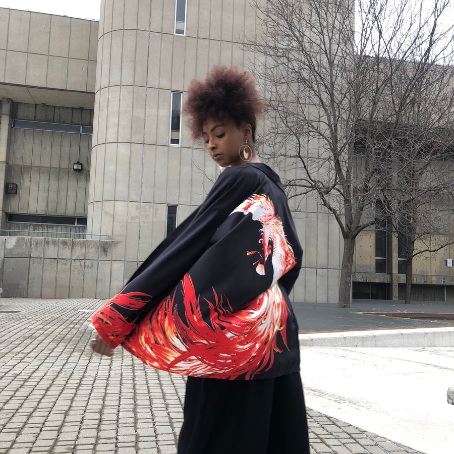 Dragon on sale kimono jacket