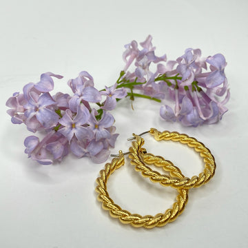 DARIA Hoops
