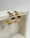 FLUTTER Hoops