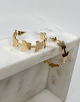 FLUTTER Hoops